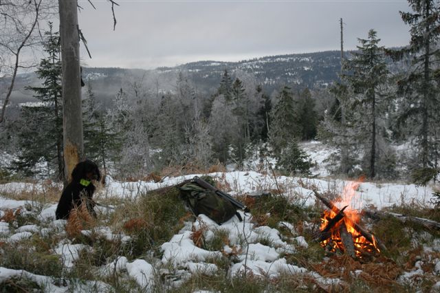 Skogsfugljakt desember