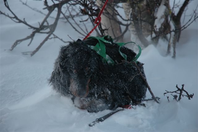 Mai ute i darlig vaer