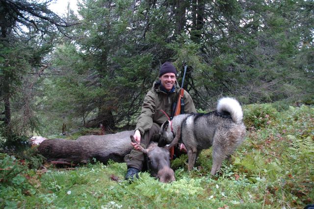 Fredrik og Grappo med elg