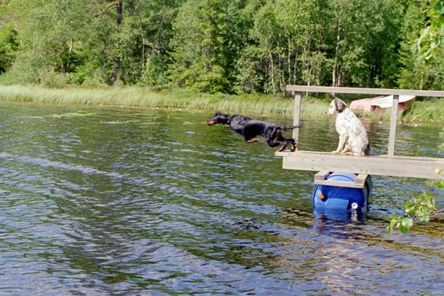 Hedda og Marco ved Gronntjern