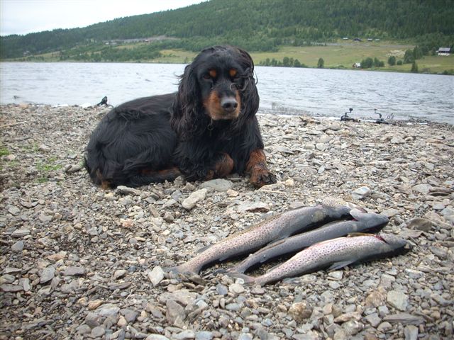 Fisketur med Hedda