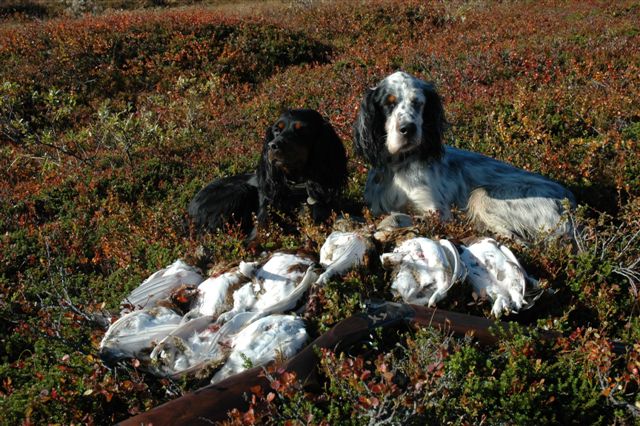 Hedda og Marco med lunchpause