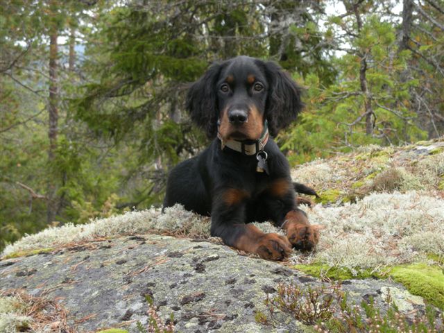 Rush - Foto E Thorbjørnsen