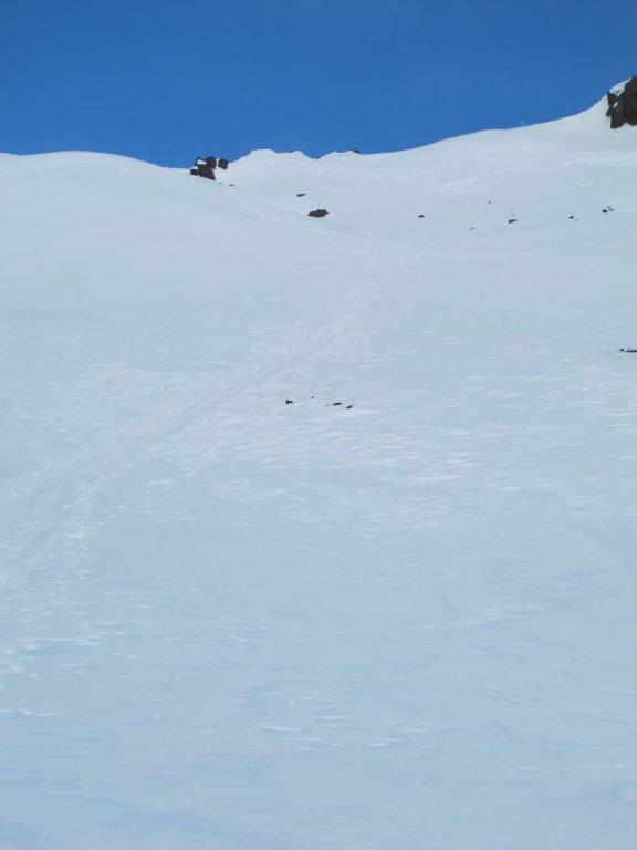 IMG_7790