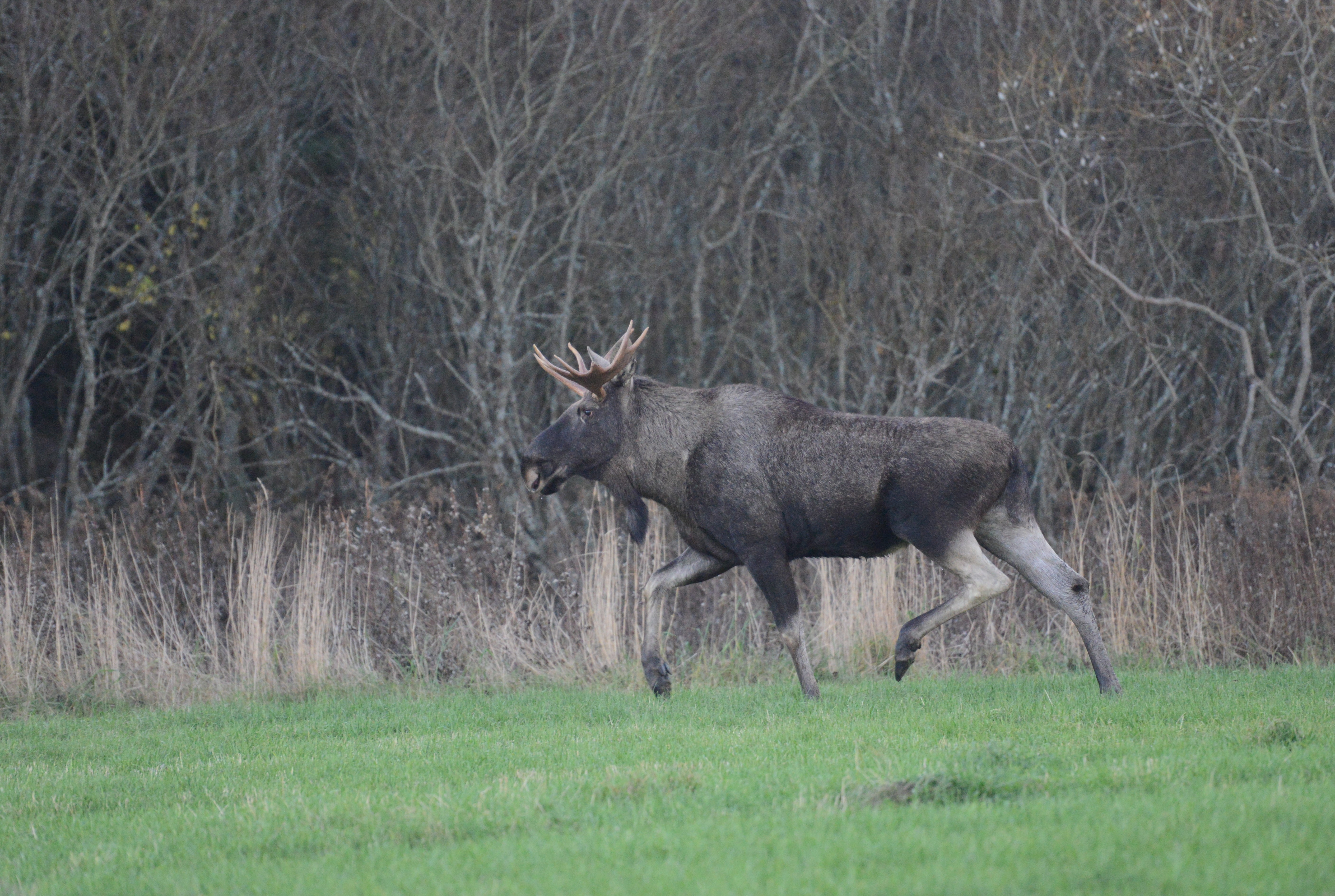 DSC_7847 (2)