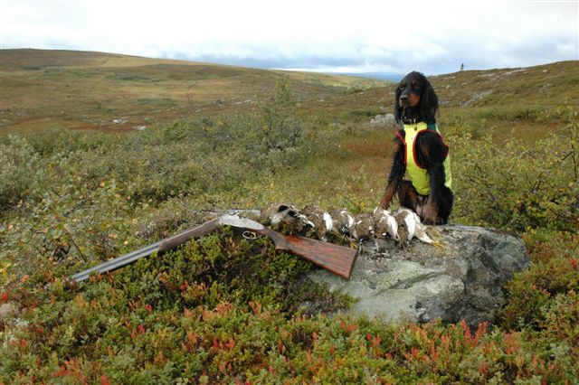 Hedda i augustfjellet