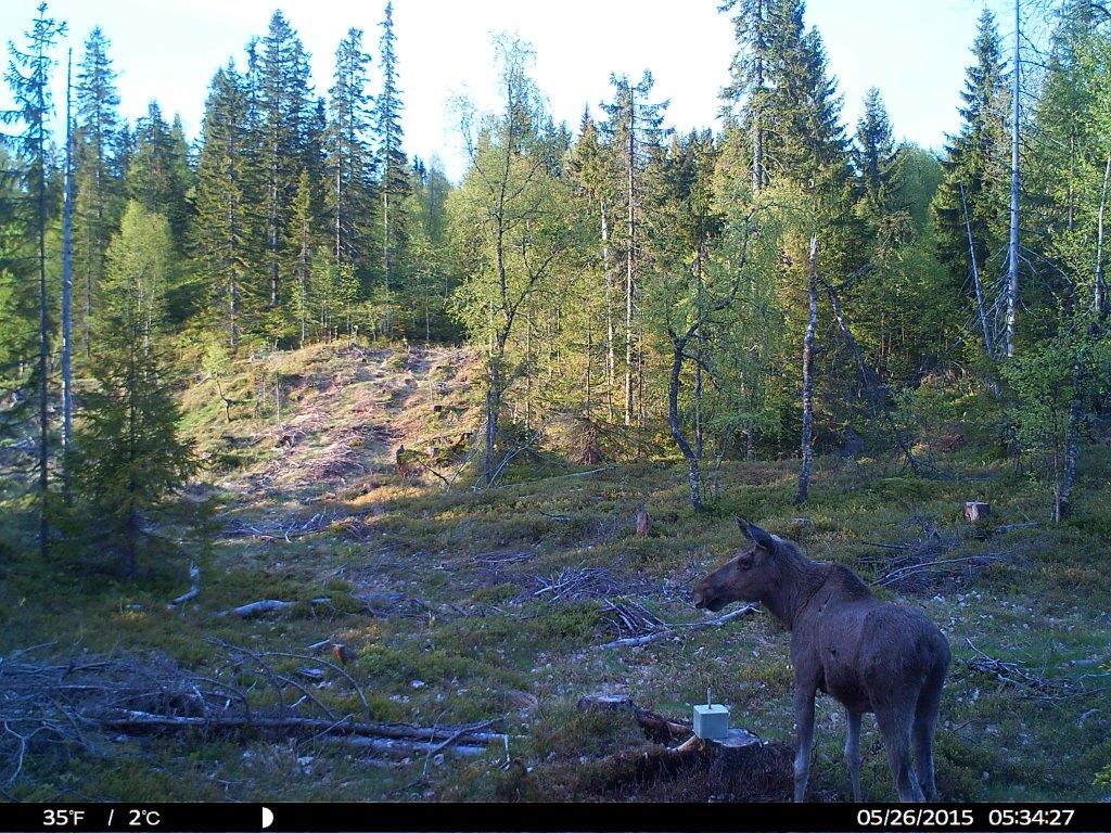 HUNT0026