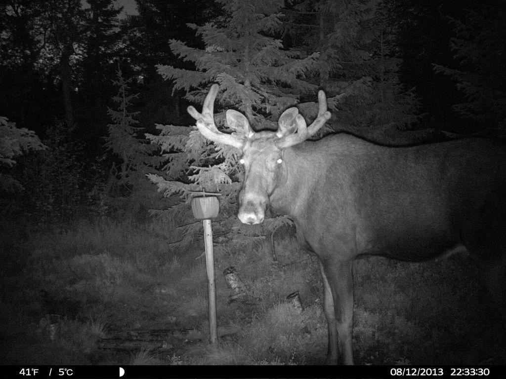HUNT0183