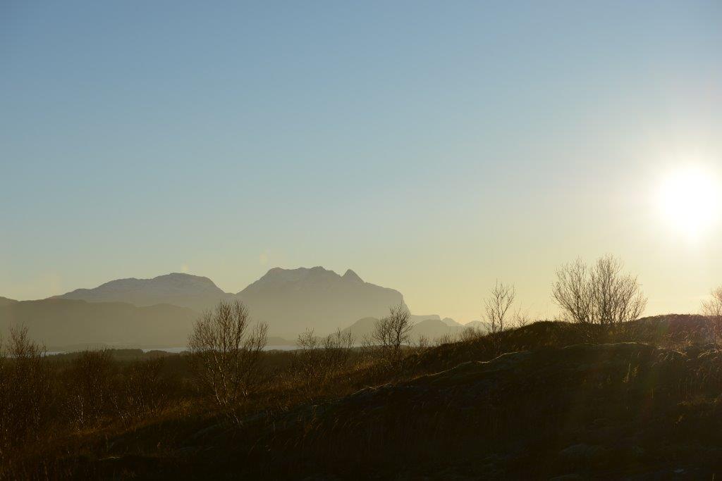 DSC_7900