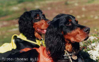 Tici & Cherie