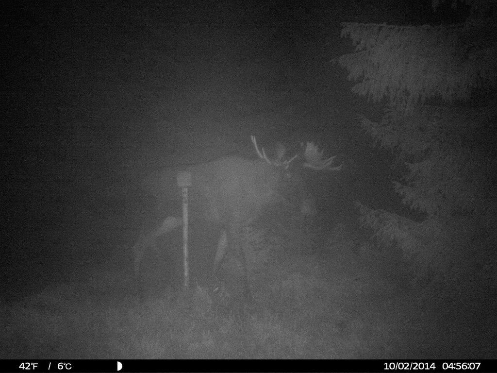 HUNT0046