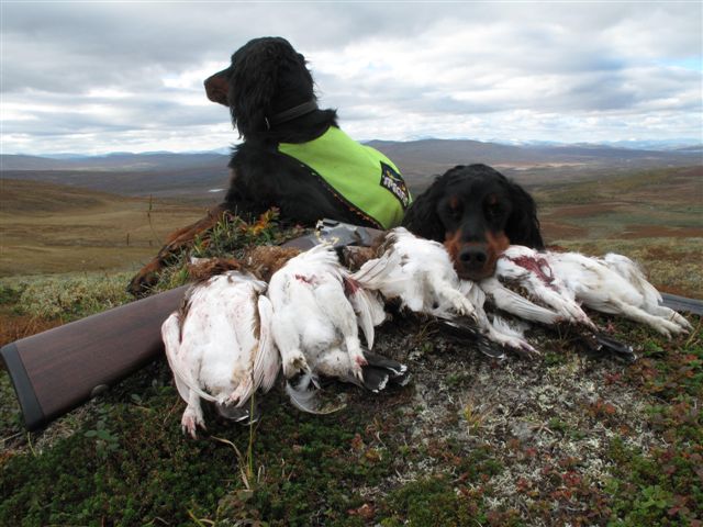 Pause i fjellet