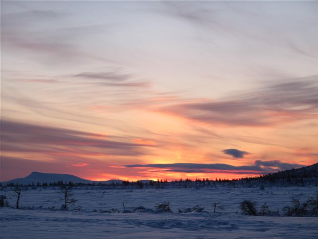Solnedgang
