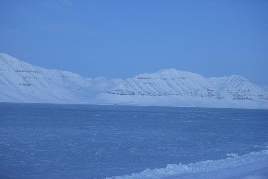 DSC_3101