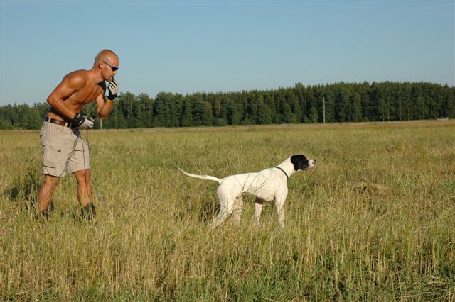 Aslak sekunderer Villa