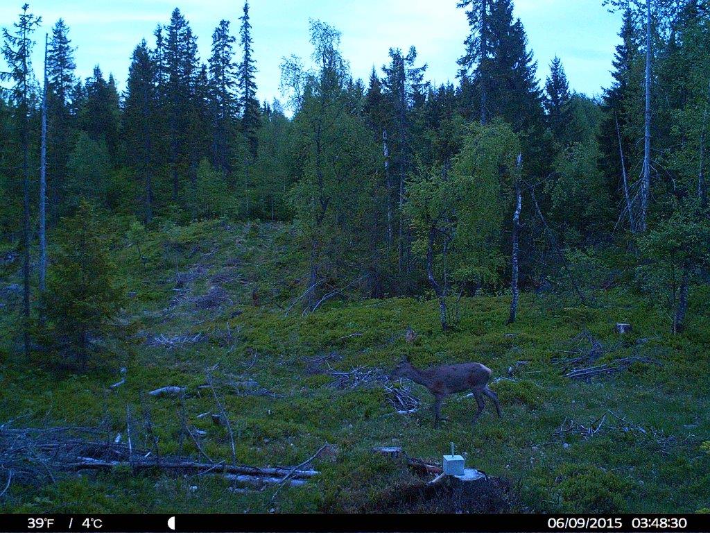 HUNT0057