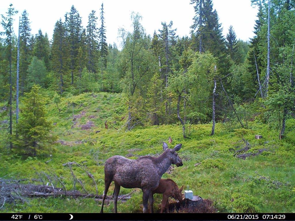 HUNT0095
