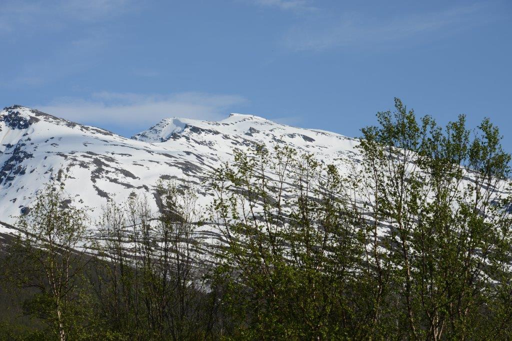 DSC_9594