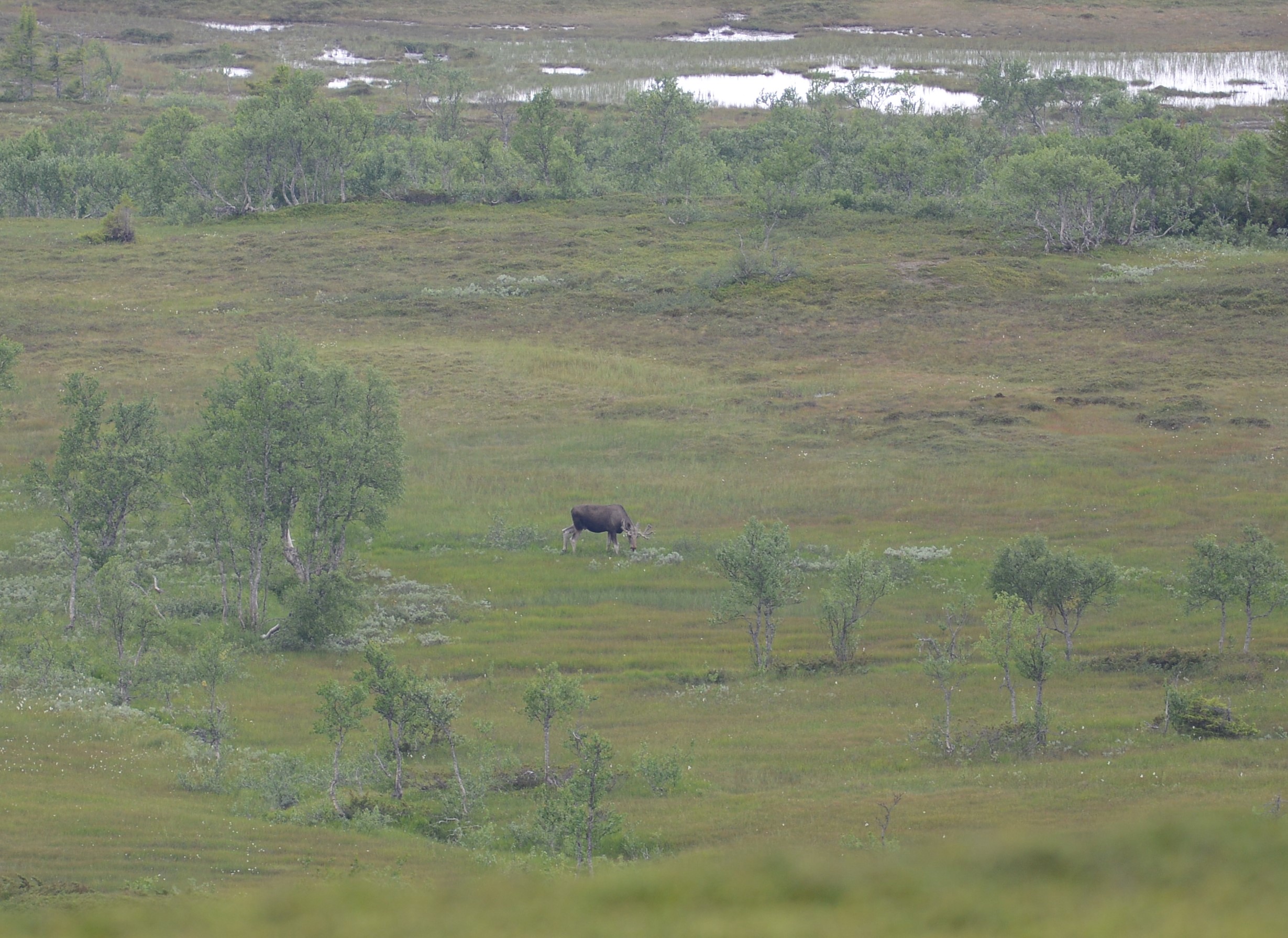 DSC_6089 (2)