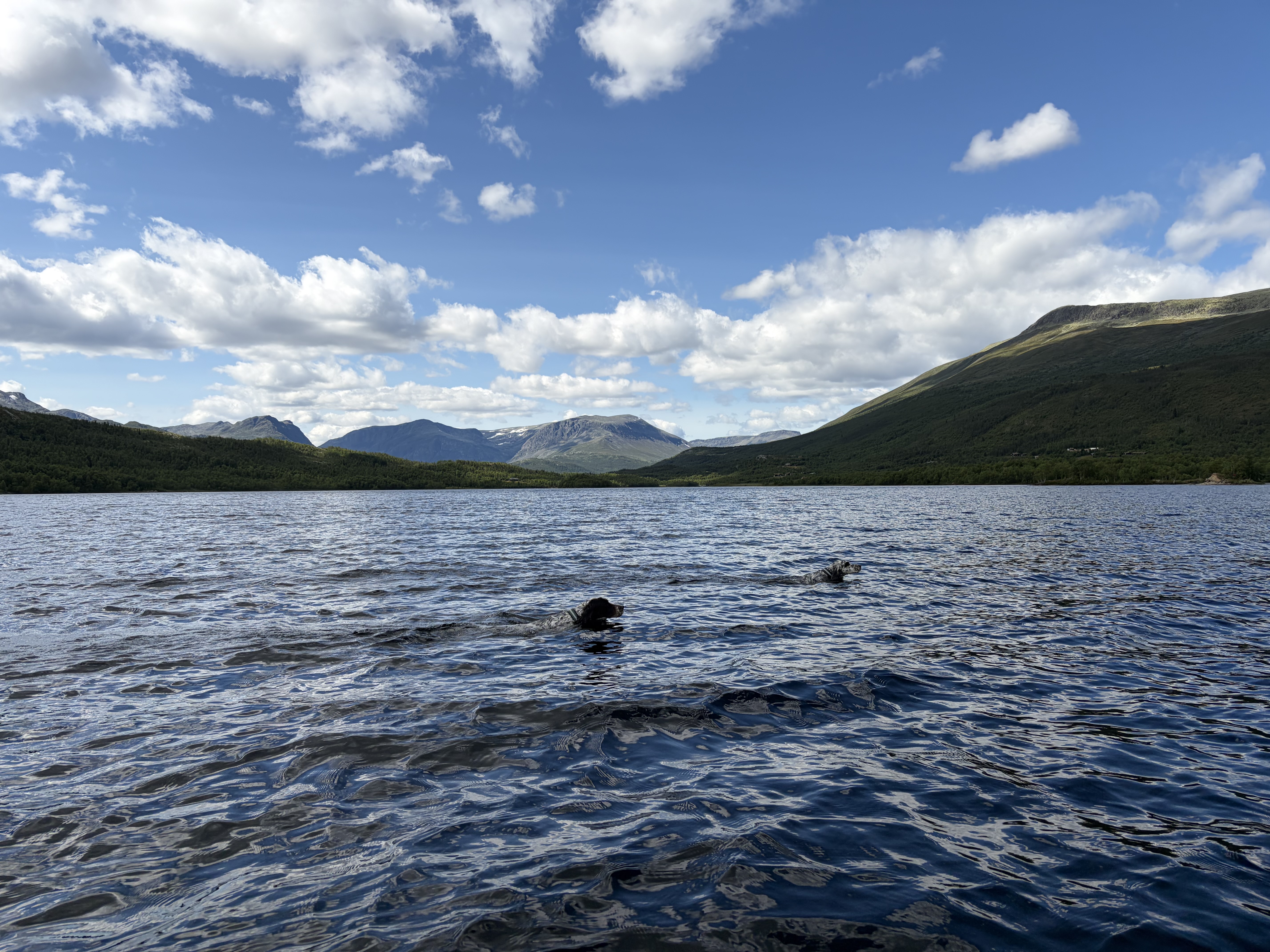 Bilde 5